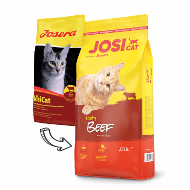 Josera - Josicat Tasty Beef, 10 kg